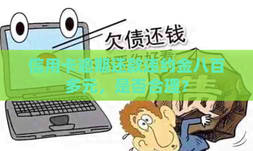 信用卡逾期还款违约金八百多元，是否合理？