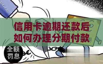 信用卡逾期还款后如何办理分期付款？全面解析常见疑问与解决方法