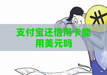 支付宝还信用卡能用美元吗