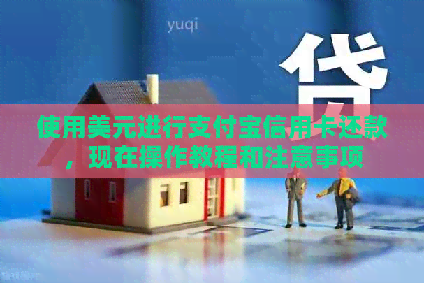 使用美元进行支付宝信用卡还款，现在操作教程和注意事项