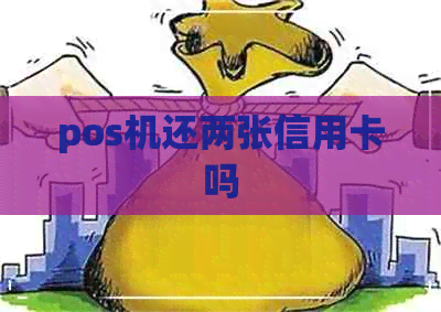 pos机还两张信用卡吗