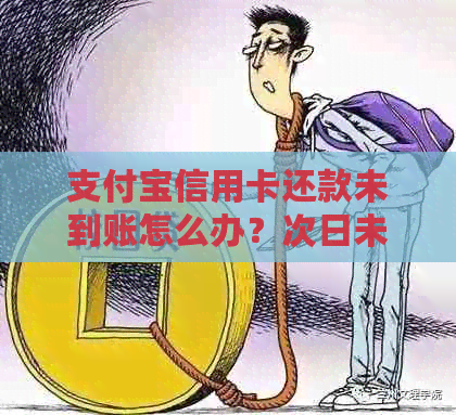 支付宝信用卡还款未到账怎么办？次日未到账的原因解析及解决办法