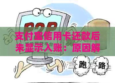 支付宝信用卡还款后未显示入账：原因解析与解决办法