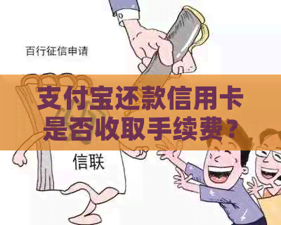 支付宝还款信用卡是否收取手续费？费用是如何计算的？