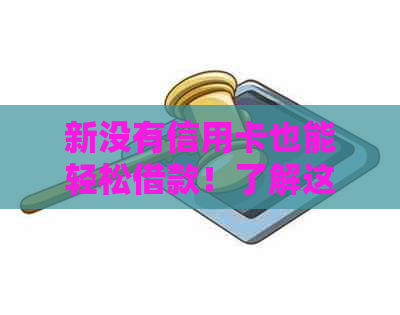 新没有信用卡也能轻松借款！了解这些方法，还呗不是问题！