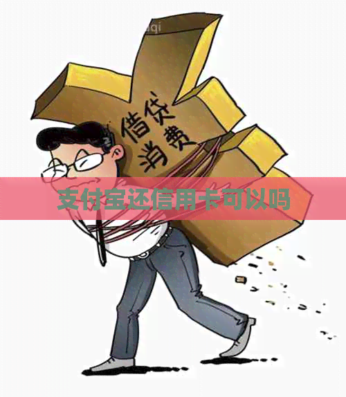 支付宝还信用卡可以吗