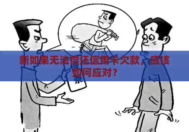 新如果无法偿还信用卡欠款，应该如何应对？