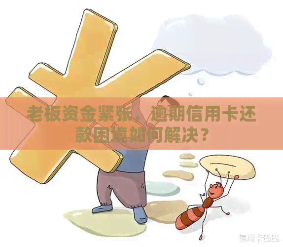 老板资金紧张，逾期信用卡还款困境如何解决？