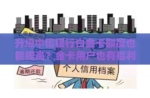 升级中信银行白金卡额度也能提高？金卡用户也有福利！