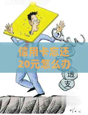 信用卡忘还20元怎么办理期还款和分期还款