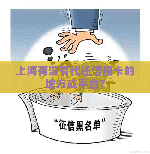 上海有没有代还信用卡的地方或平台？