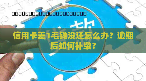 信用卡差1毛钱没还怎么办？逾期后如何补缴？