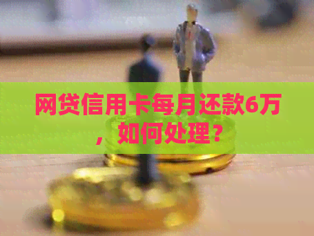 网贷信用卡每月还款6万，如何处理？