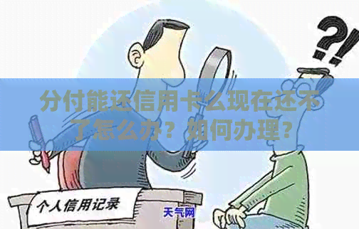 分付能还信用卡么现在还不了怎么办？如何办理？