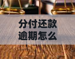 分付还款逾期怎么办？微信资讯教你如何解决信用卡现在还不了的问题