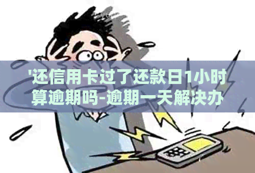 '还信用卡过了还款日1小时算逾期吗-逾期一天解决办法'