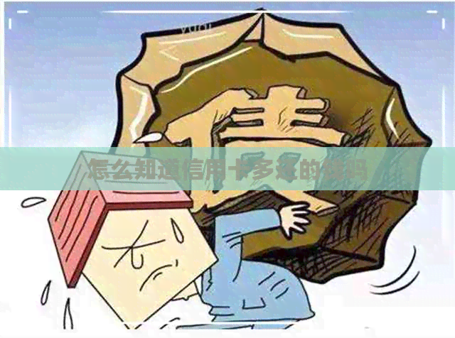 怎么知道信用卡多还的钱吗