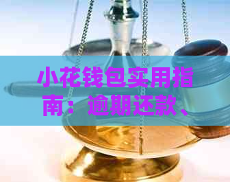 小花钱包实用指南：逾期还款、信用卡额度提升和协商方法一网打尽