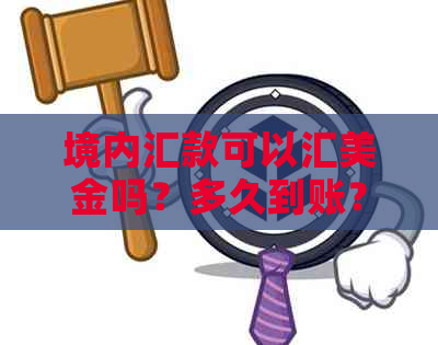 境内汇款可以汇美金吗？多久到账？能汇美元吗？