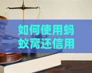 如何使用蚂蚁窝还信用卡？了解还款流程、注意事项和优政策