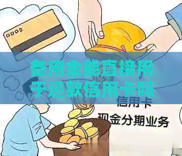 备用金能直接用于还款信用卡吗？安全性如何？