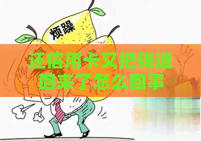 还信用卡又把钱退回来了怎么回事