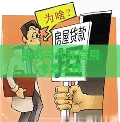 小斑马代还信用卡怎么样