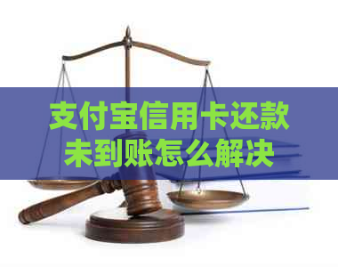 支付宝信用卡还款未到账怎么解决