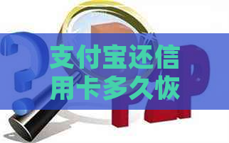 支付宝还信用卡多久恢复吗