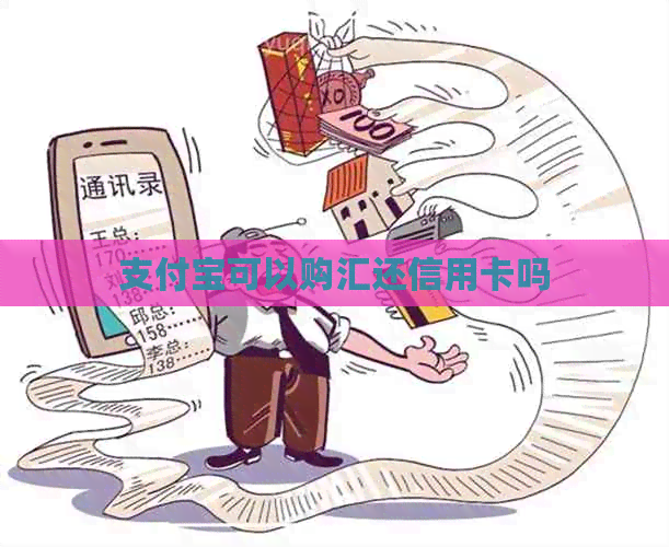 支付宝可以购汇还信用卡吗