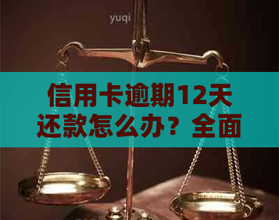 信用卡逾期12天还款怎么办？全面解决方案及应对措一览