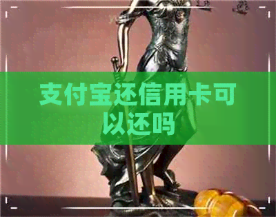 支付宝还信用卡可以还吗