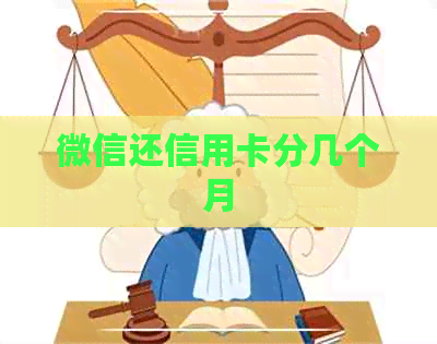 微信还信用卡分几个月