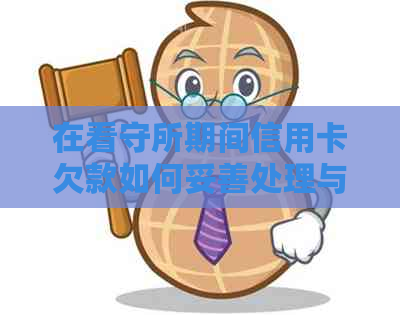 在看守所期间信用卡欠款如何妥善处理与偿还完整指南