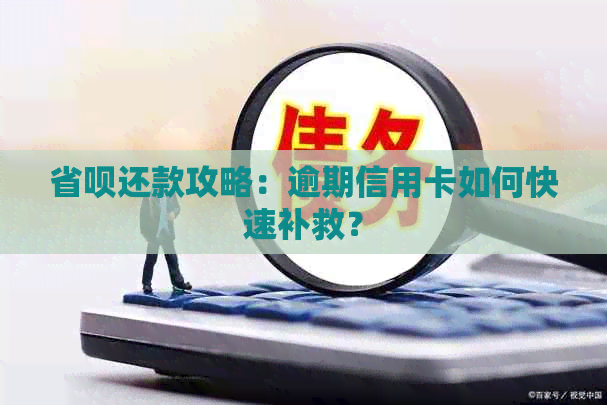 省呗还款攻略：逾期信用卡如何快速补救？