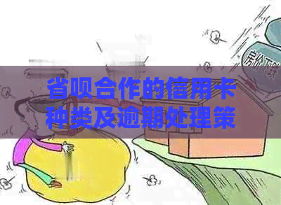 省呗合作的信用卡种类及逾期处理策略详解