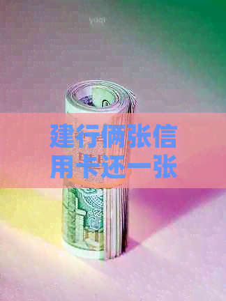 建行俩张信用卡还一张怎么还款