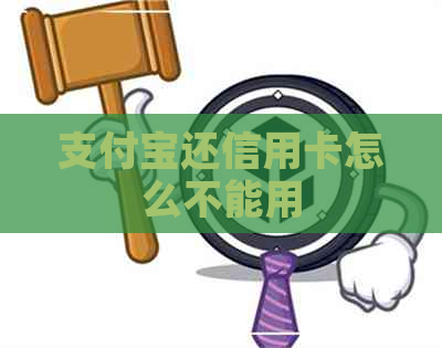 支付宝还信用卡怎么不能用