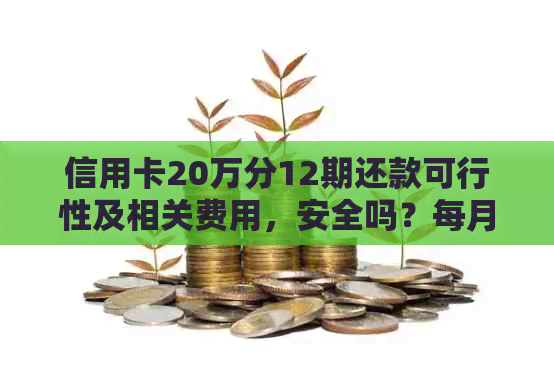 信用卡20万分12期还款可行性及相关费用，安全吗？每月应还多少？