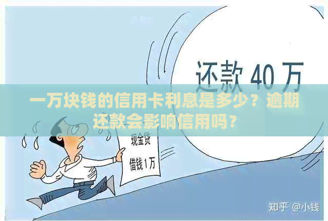 一万块钱的信用卡利息是多少？逾期还款会影响信用吗？