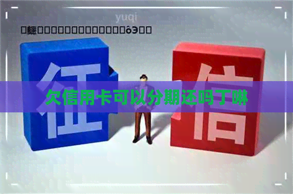 欠信用卡可以分期还吗丁啉