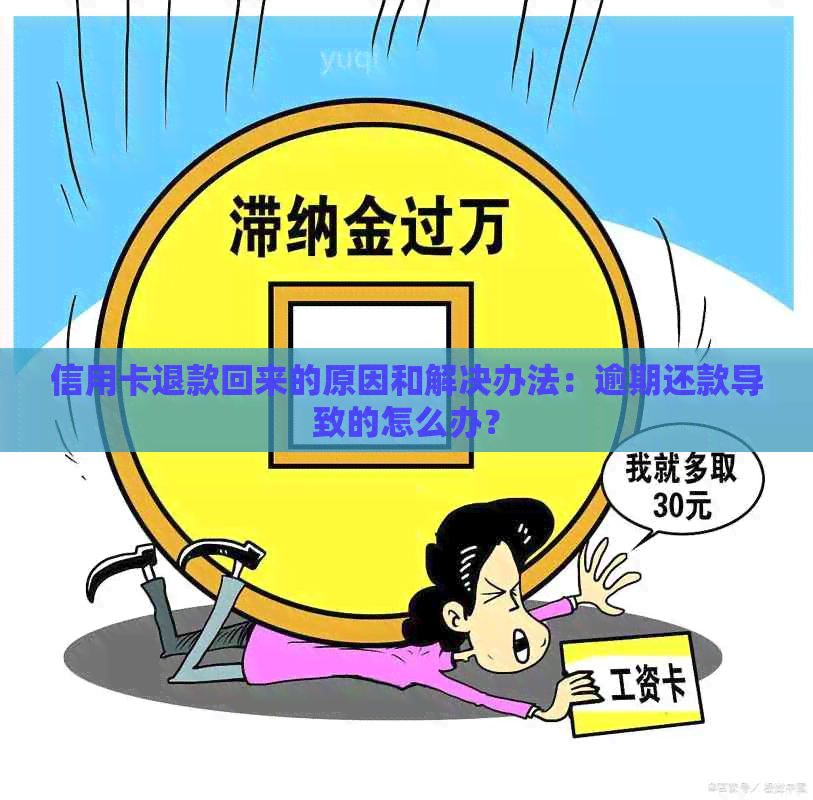 信用卡退款回来的原因和解决办法：逾期还款导致的怎么办？