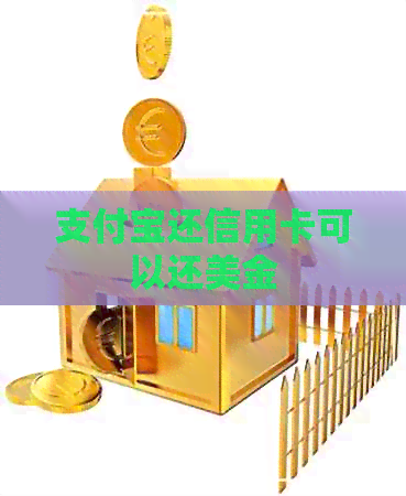 支付宝还信用卡可以还美金