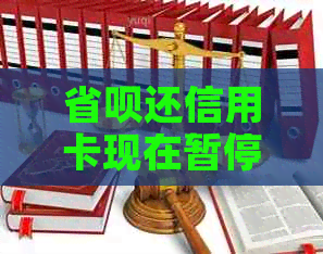 省呗还信用卡现在暂停了吗怎么办 - 如何解决省呗还信用卡暂停问题