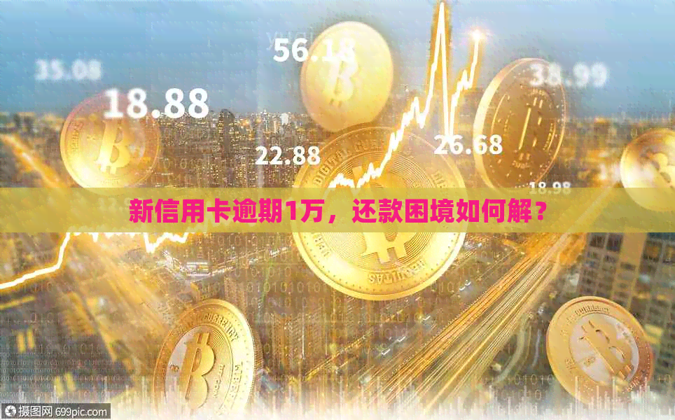 新信用卡逾期1万，还款困境如何解？