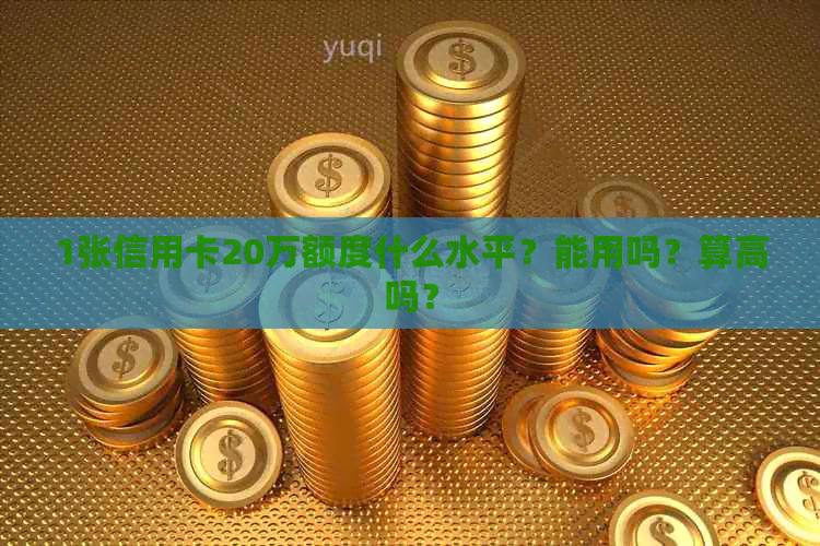 1张信用卡20万额度什么水平？能用吗？算高吗？