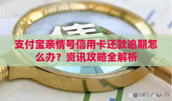 支付宝亲情号信用卡还款逾期怎么办？资讯攻略全解析