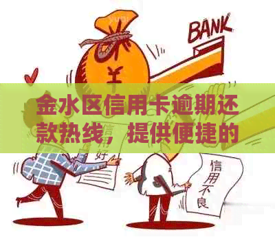 金水区信用卡逾期还款热线，提供便捷的信用服务电话