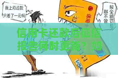 信用卡还款后报告何时更新？如何查看信用评分和报告？解答用户常见问题