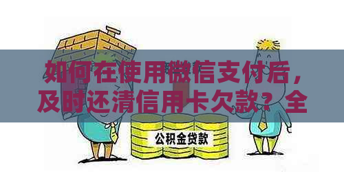 如何在使用微信支付后，及时还清信用卡欠款？全面解决用户还款难题